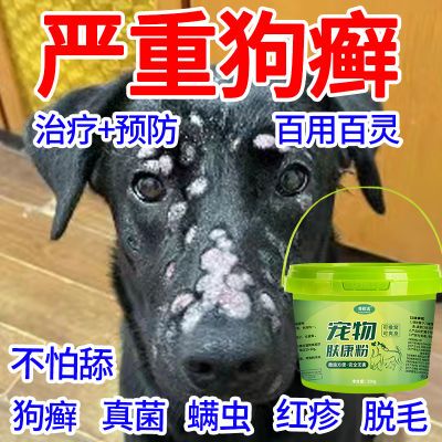 宠物肤康粉猫咪猫藓狗狗皮肤病专用螨虫真菌消炎止痒粉【不怕舔】