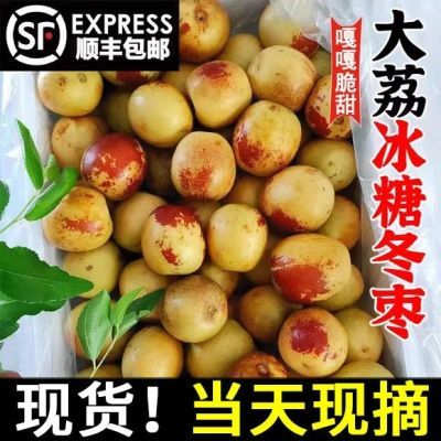 【批发价顺丰包邮】正宗陕西大荔冬枣超脆甜鲜枣青红枣现摘现发