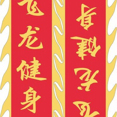 彩带龙身定制绸布龙衣团体舞龙diy印字图logo花样健身龙宣传立体【15天内发货】