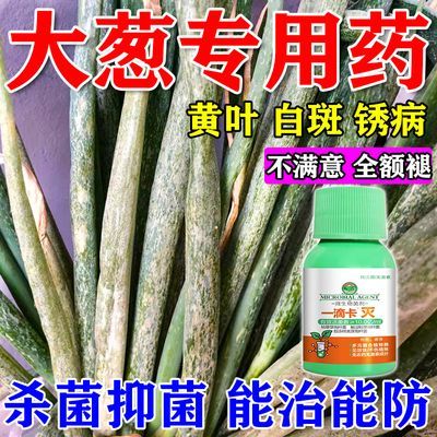 大葱专用药大葱白斑病专用杀菌剂锈病干尖黄叶根腐紫斑病黑斑灰霉