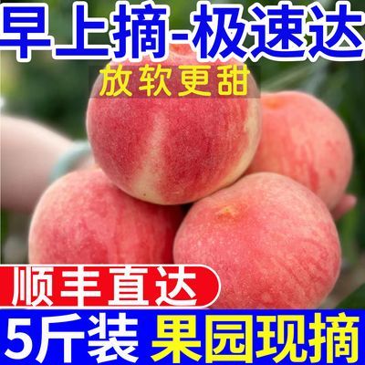 5斤水蜜桃新鲜酸甜脆甜桃子脆桃批发一整箱应季水果当季毛桃新鲜