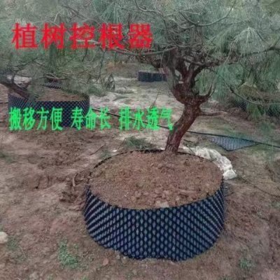 植物控根器槟榔树围栏控根器植树专用根器控根器厂家直销围板塑料