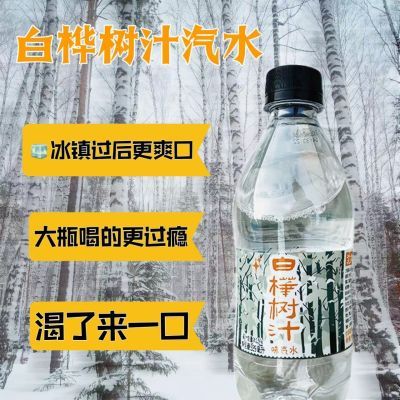 东北汽水白桦树汁味老款白桦树饮料网红特产80饮品碳酸饮品0脂肪