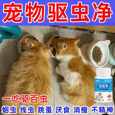 内外双驱】狗狗猫咪驱虫体内外二合一兽用强效虫驱净家用猫狗专用【7月20日发完】