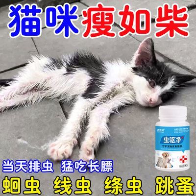 宠物驱虫药狗狗驱虫药猫咪厌食不吸收家用驱虫寄生蛔虫内外同驱药