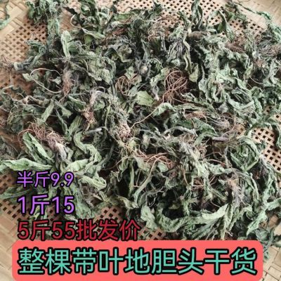 深山晒干正宗地胆头特产煲汤地现挖现发草鞋根苦地胆煲汤料干货