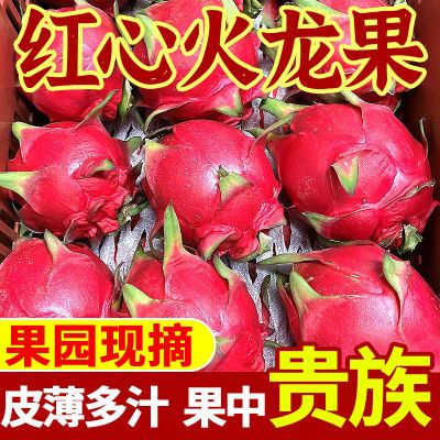 【爆甜】红心火龙果现摘大果新鲜应季水果皮薄红肉爆汁一整箱批发