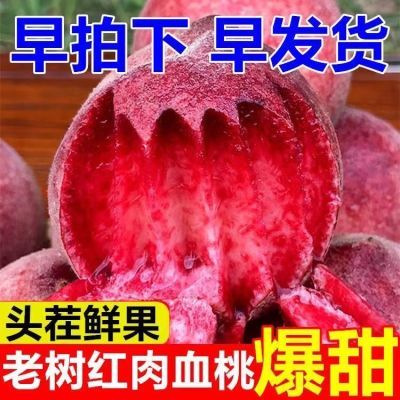 【一掰两半】正宗血桃新鲜胭脂红脆甜朱砂红时令当季水果红心桃子