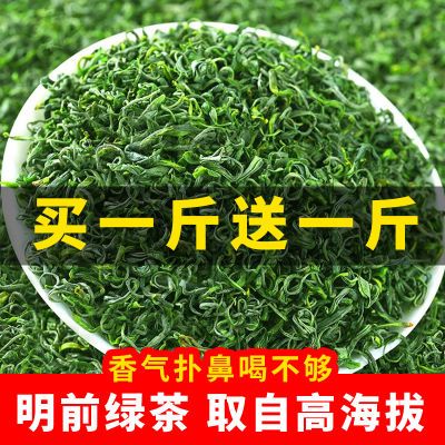 (买一斤送一斤)特级绿茶2024新茶高山云雾绿茶炒青绿茶浓香耐泡型