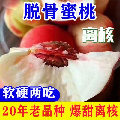 【正宗离核蜜桃】脱骨桃离核桃子脆甜特甜大果现摘现发新鲜发货中