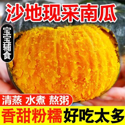 正宗贝贝南瓜板栗味沙地现采新鲜南瓜孕妇宝宝营养辅食粉糯五斤装