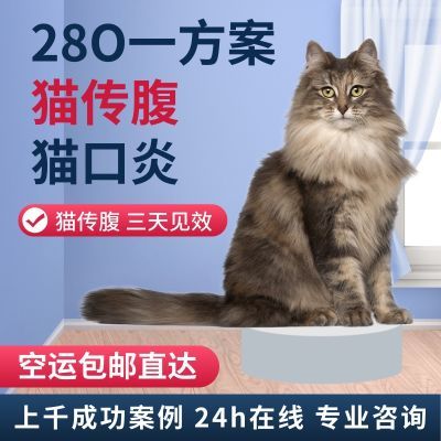 进口28-OI猫传腹口服片剂腹膜炎干性湿性消腹水杯状口炎护肝黄疸