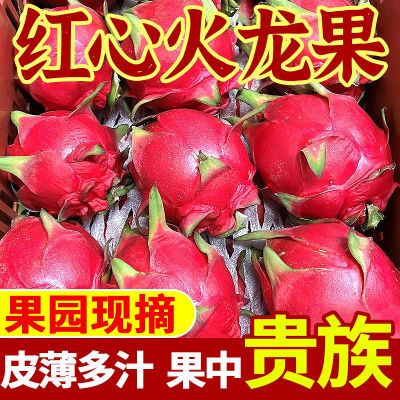 【好吃】红心火龙果现摘大果新鲜应季水果皮薄红肉爆汁一整箱批发