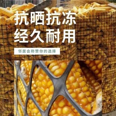 【养殖网】玉米网塑料网养鸡网果园围栏防护网特厚新款鸡网