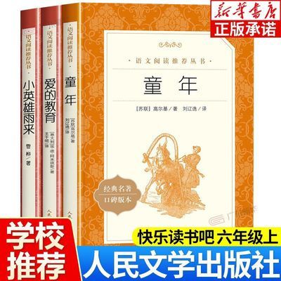 六年级童年爱的教育小英雄雨来人民文学出版社正版高尔基三部曲原