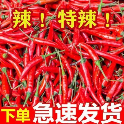 【当天现摘】新鲜小米辣椒农家鲜椒蔬菜红辣椒朝天椒小米椒可泡椒