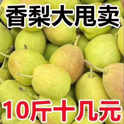 源自新疆库尔勒香梨正宗一整箱香妃梨大果新鲜水果应季红香酥梨子