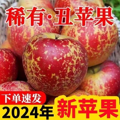 【超甜冰糖心】正宗大凉山丑苹果新鲜水果当季红富士苹果整箱批发
