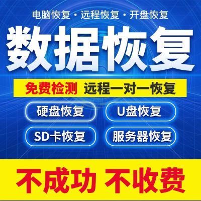 电脑移动硬盘数据恢复内存sd卡u盘数据恢复照片视频文件数据修复