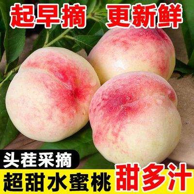 水蜜桃毛桃现摘应季桃子孕妇水果薄皮一整箱大果桃子