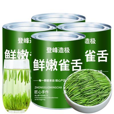 雀舌茶叶绿茶特级2024新茶春茶正宗毛尖茶浓香耐泡型茶叶散装批发