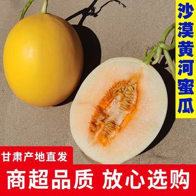 就走品质货】民勤沙漠黄河蜜瓜当季新鲜水果冰糖甜瓜香瓜整箱