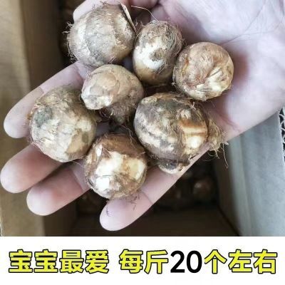 小芋头新鲜山东牛奶小芋头芋艿香芋软糯火锅5斤包邮便宜清仓