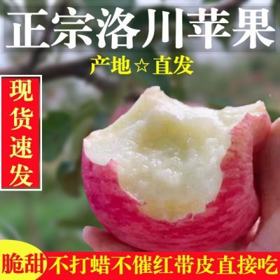洛川苹果水果正宗陕西水晶红富士丑苹果当季新鲜脆甜精品大果生鲜