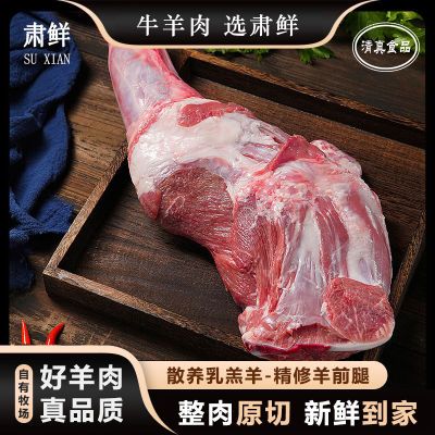 肃鲜羊前腿肉散养切块国产生羊肉冷冻羊前腱新鲜带骨清真羊腿原切