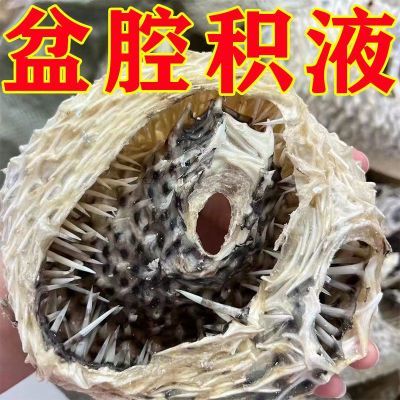 【正品】盆腔积液小腹疼痛白带异常有异味分泌物增多专用贴