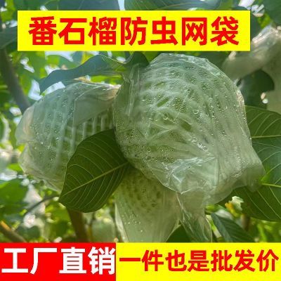 番石榴套袋加厚套袋网袋芭乐防虫网眼专用一体防虫泡沫包装包邮