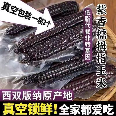 【新店半价】西双版纳紫糯拇指玉米绿色非转基因不加糖孕妇粗粮