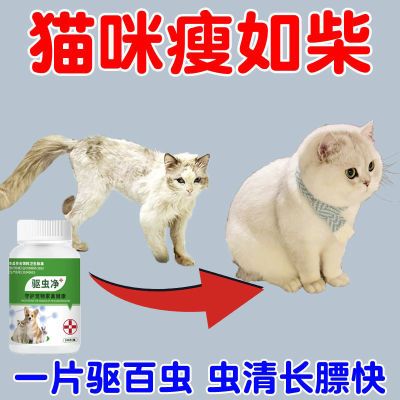 宠物驱虫药狗狗驱虫药猫咪厌食不吸收家用驱虫寄生蛔虫内外同驱药