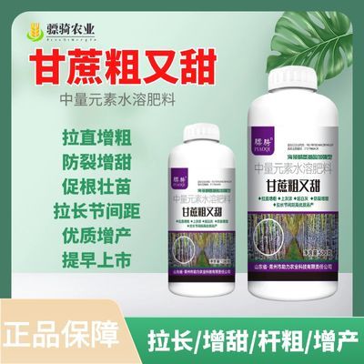 甘蔗粗又甜专用叶面肥增粗增糖膨大素甘蔗膨大增粗拉长