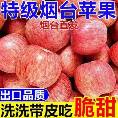 高品质烟台红富士苹果脆甜应季新鲜苹果山东栖霞苹果水果整箱批发