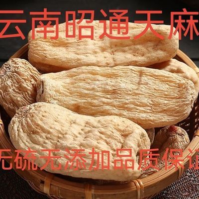 云南昭通天麻非天麻野生纯天然新鲜纯天然无硫晒干优质干货天麻