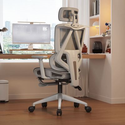 一棵柠檬人体工学电脑椅家用办公椅舒适久坐电竞椅学习升降椅座椅