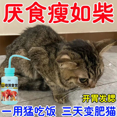 宠物消食开胃助消化猫犬通用厌食增加食欲调理肠胃猫狗专用消食饮