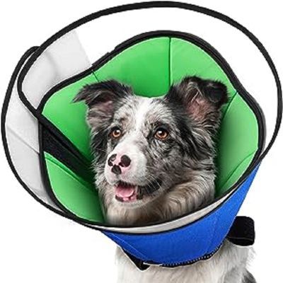 跨境伊丽莎白圈狗狗耻辱圈宠物大型犬防舔防咬项圈绝育 dog cone