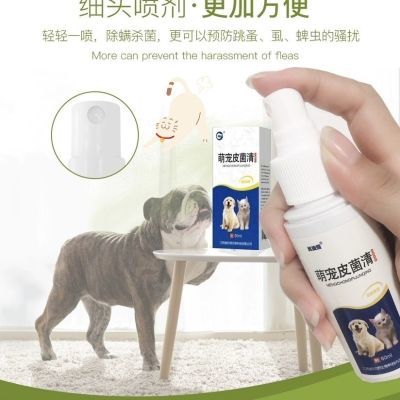 狗狗皮肤病喷雾体外驱虫药猫癣狗癣脱毛跳蚤虱子螨虫真菌杀菌专用