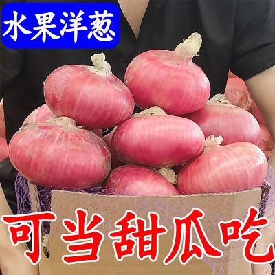 正品】山东二红扁葱肉厚多汁新鲜水果洋葱生吃甜脆应季洋葱生吃