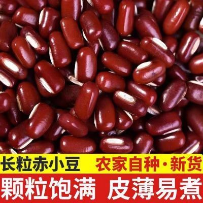 东北赤小豆新货正宗黑龙江农家长粒赤小豆1000g 煮粥杂粮红豆粗粮