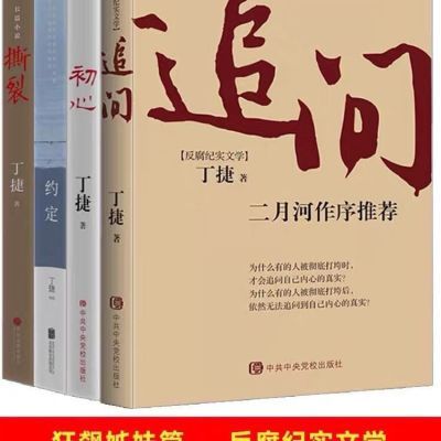 追问 丁捷著4册作品集全集二月河作序反腐纪实文学亢奋依偎初心