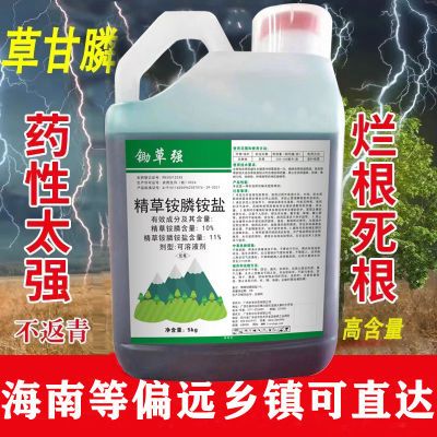 21%精草铵膦铵盐高浓度除草剂果园林地荒地通用见快速强效老牌