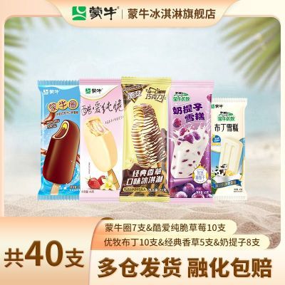 【40支】蒙牛冰淇淋随变经典香草巧克力蒙牛圈奶提子小布丁雪糕