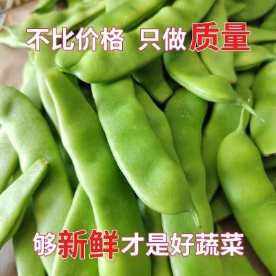 东北正宗油豆角新鲜开锅烂包邮现摘农家自种将军一点红九月青豆角