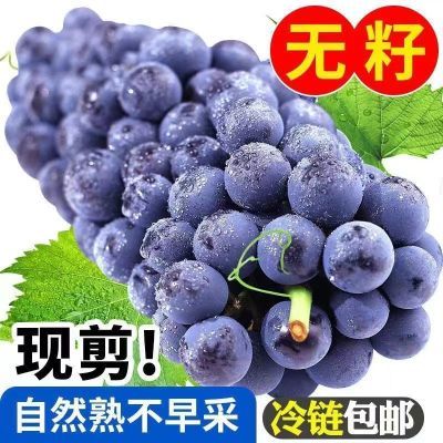 夏黑葡萄新鲜现摘无籽山西当季黑提应季孕妇时令水果黑加仑包邮