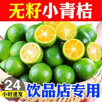 无籽小青桔】新鲜青桔奶茶店专用无籽小青柑青金桔小柠檬酸水果茶