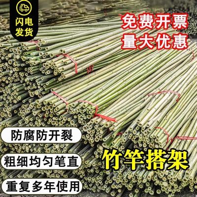 小竹竿批发菜园搭架豆角黄瓜蔬菜爬藤架园艺篱笆围栏旗杆竹杆子棍