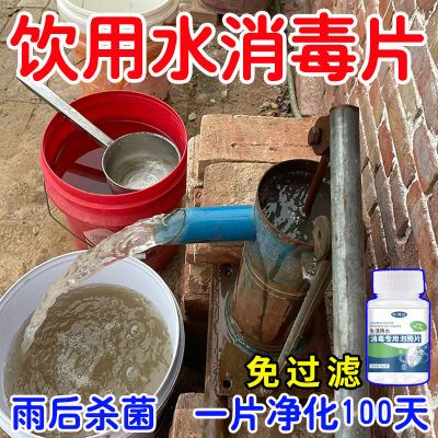 生活用水消毒泡腾片户外用水井水消毒片净化水质杀菌除臭【直接喝